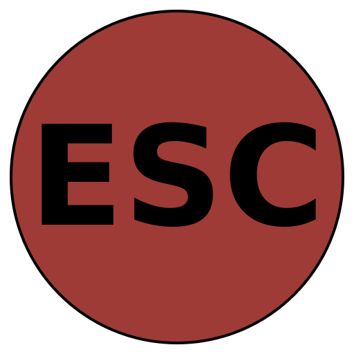 Essential Steps Career